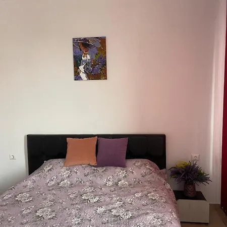 A Tiny Flat Lägenhet Slăntjev Brjag